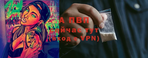 тгк Вяземский